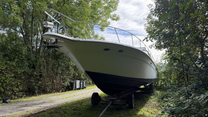 Sea Ray sundancer 480