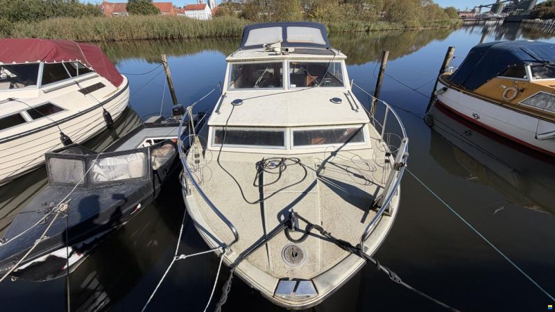Coronet 26 Family