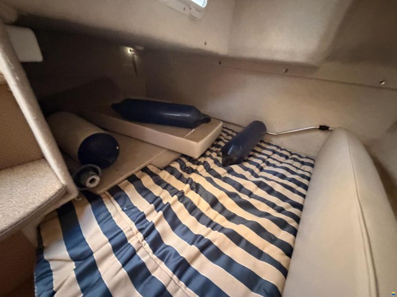 Bayliner 245 Ciera