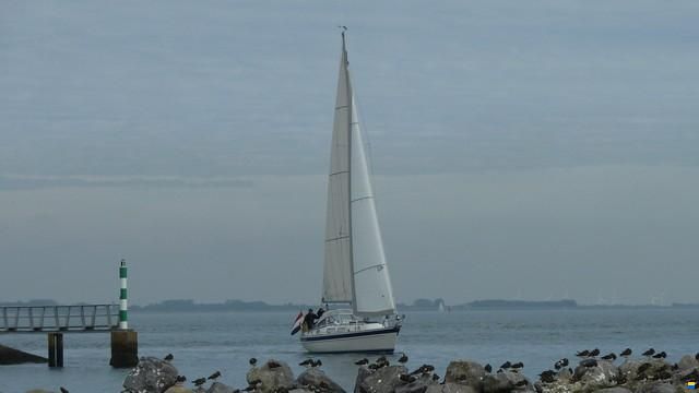 Hallberg-Rassy 34