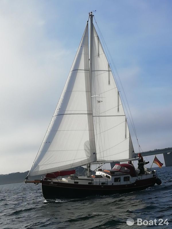 Noordkaper 31