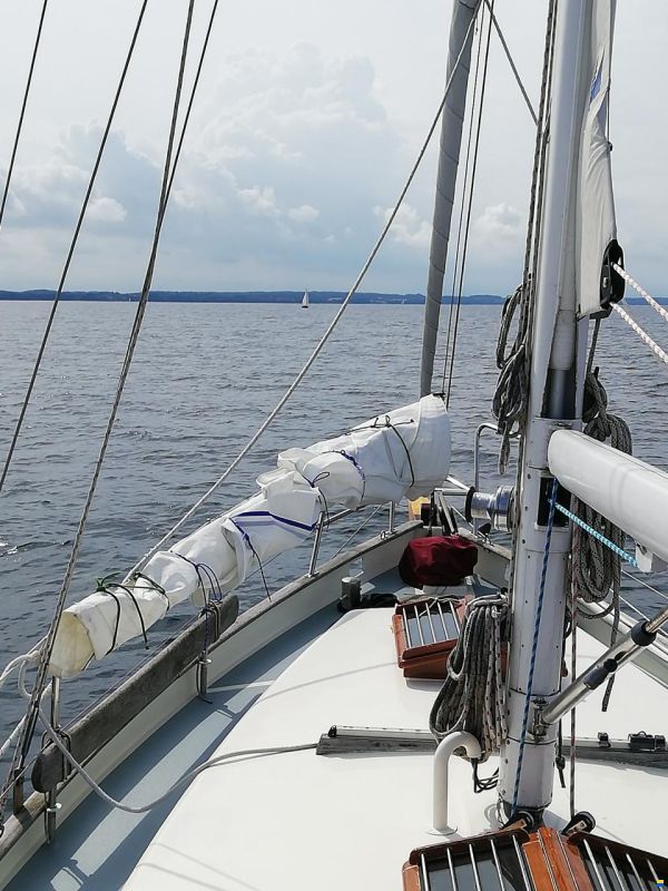 Noordkaper 31