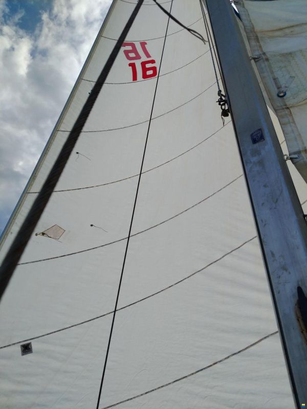Furia 33
