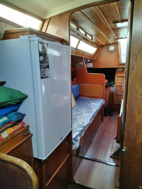 Furia 33