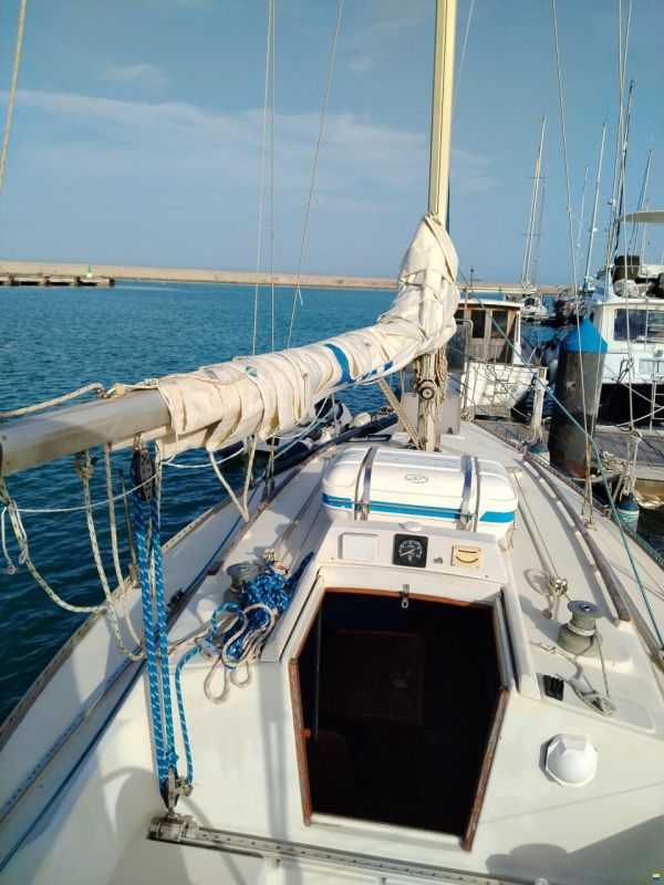 Furia 33