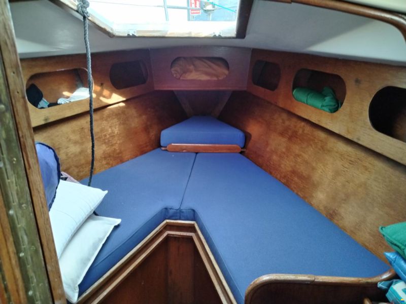 Furia 33