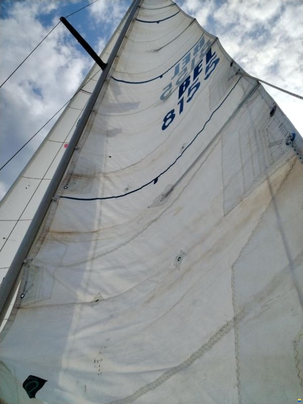 Furia 33
