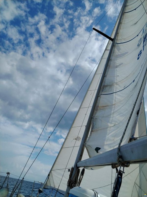 Furia 33