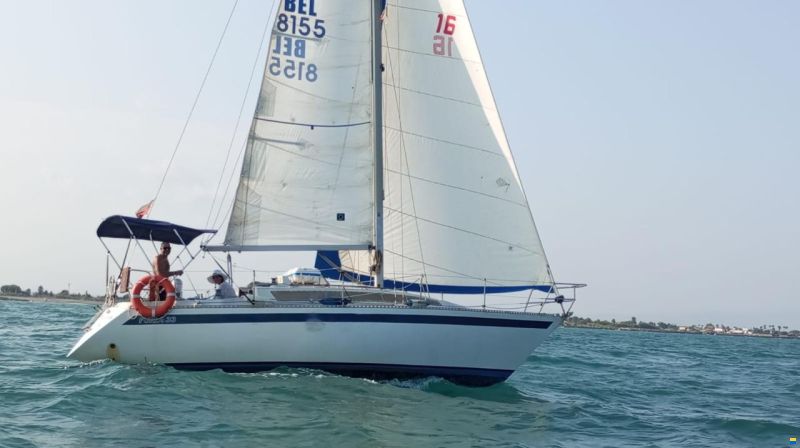 Furia 33