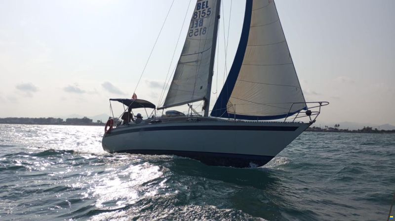 Furia 33