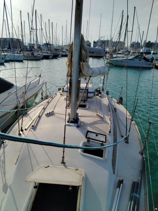 Furia 33