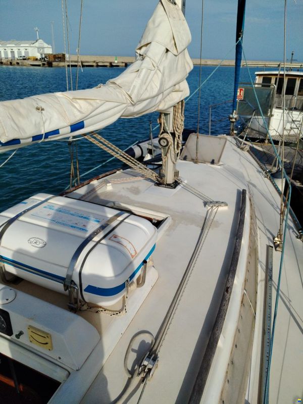 Furia 33