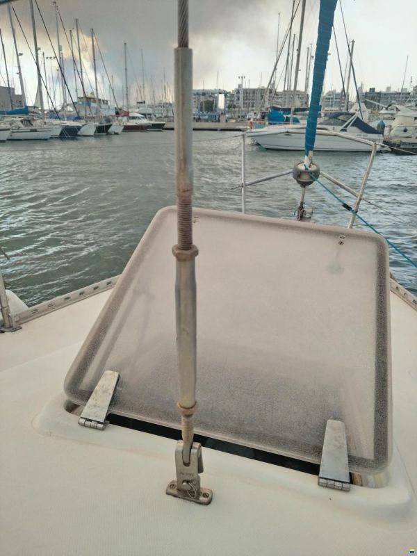 Furia 33
