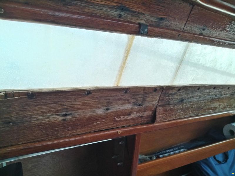 Furia 33