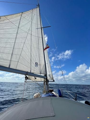 Huisman Avenir