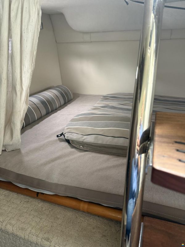 Regal 26 Express