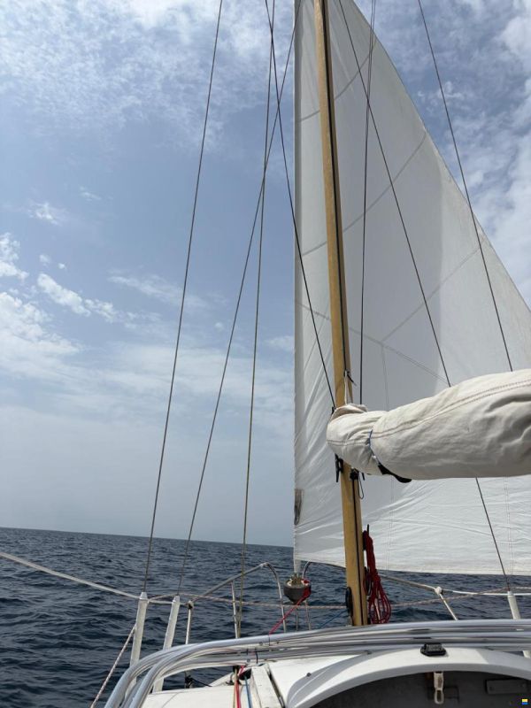Nautic Plast Hai 590