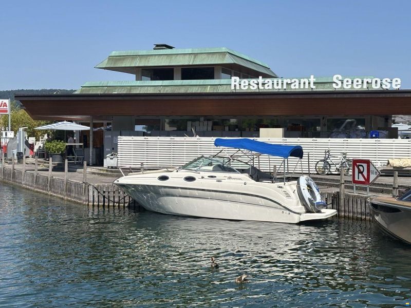 Sea Ray 240 Sundancer