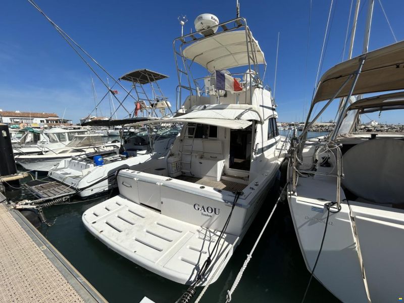 Riviera 36 CONVERTIBLE