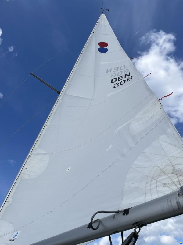 International 806