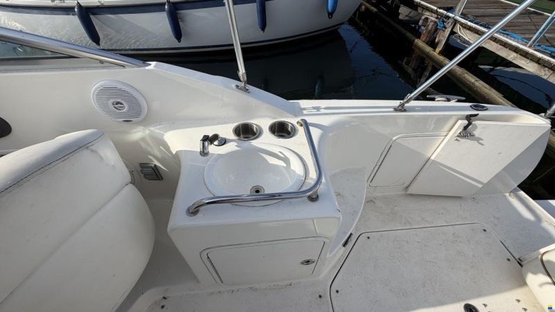 Sea Ray Sundancer 260