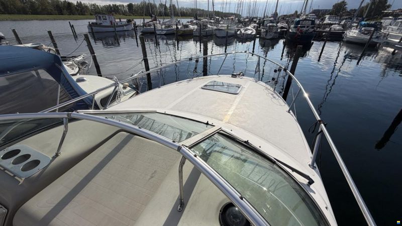 Sea Ray Sundancer 260