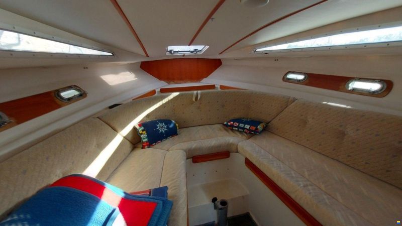 8000 Cruiser