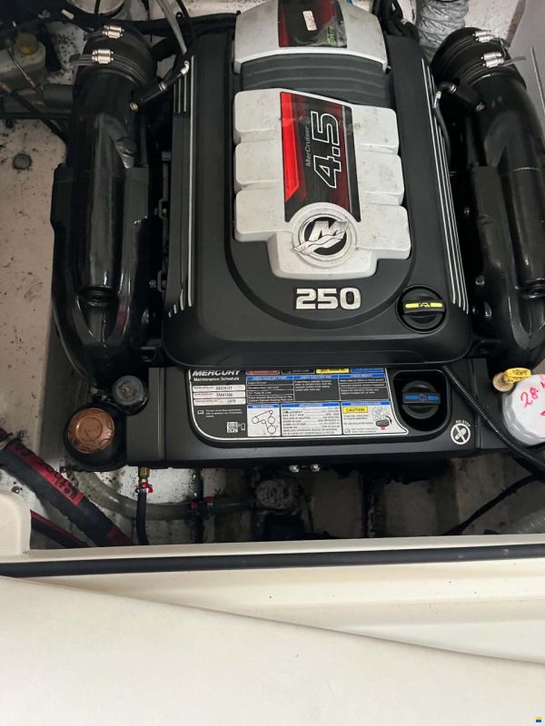 Bayliner Bowrider
