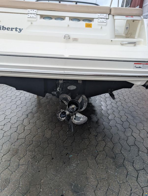 Bayliner Bowrider