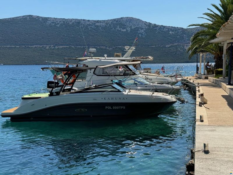 Sea Ray 230 Sun Sport