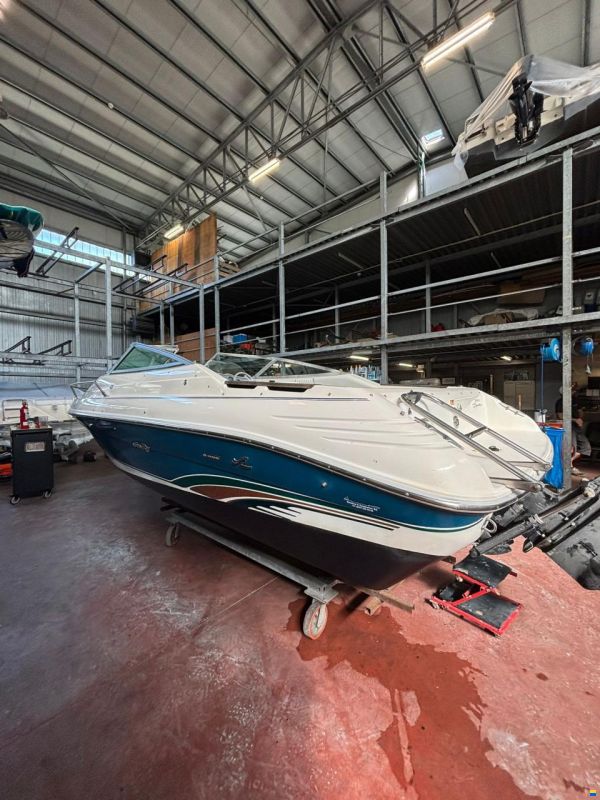 Sea Ray 200 OV