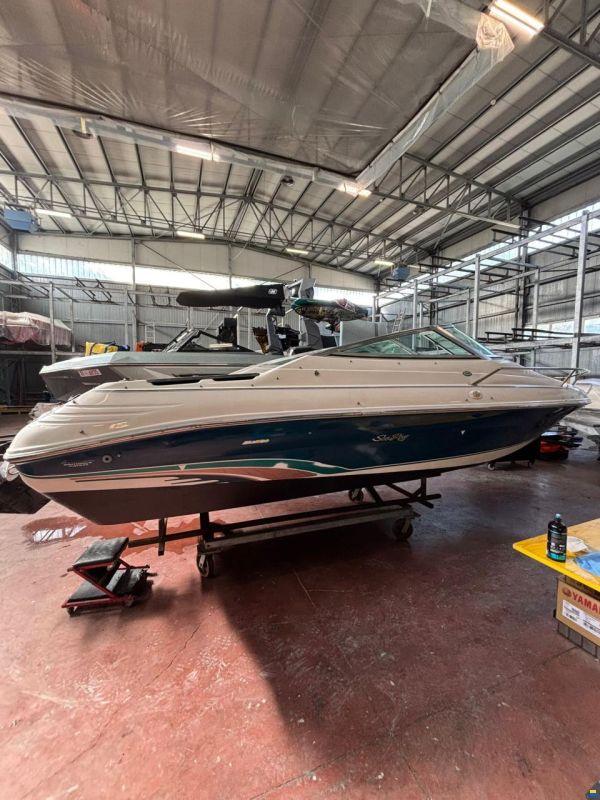 Sea Ray 200 OV