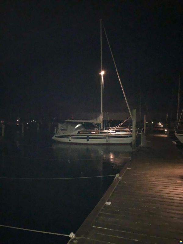 Sirius 31