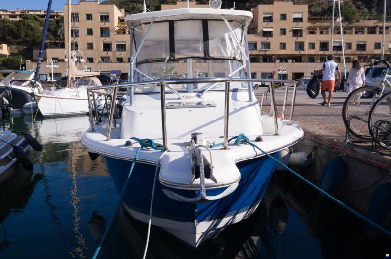 Sea Pro 238 WA