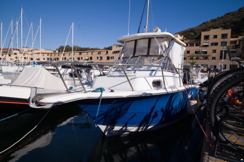 Sea Pro 238 WA