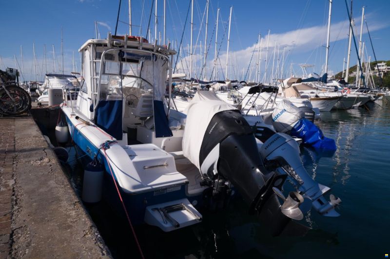 Sea Pro 238 WA