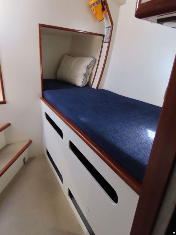 Stern 50