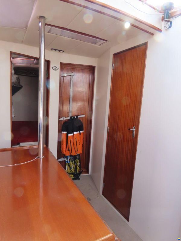Stern 50