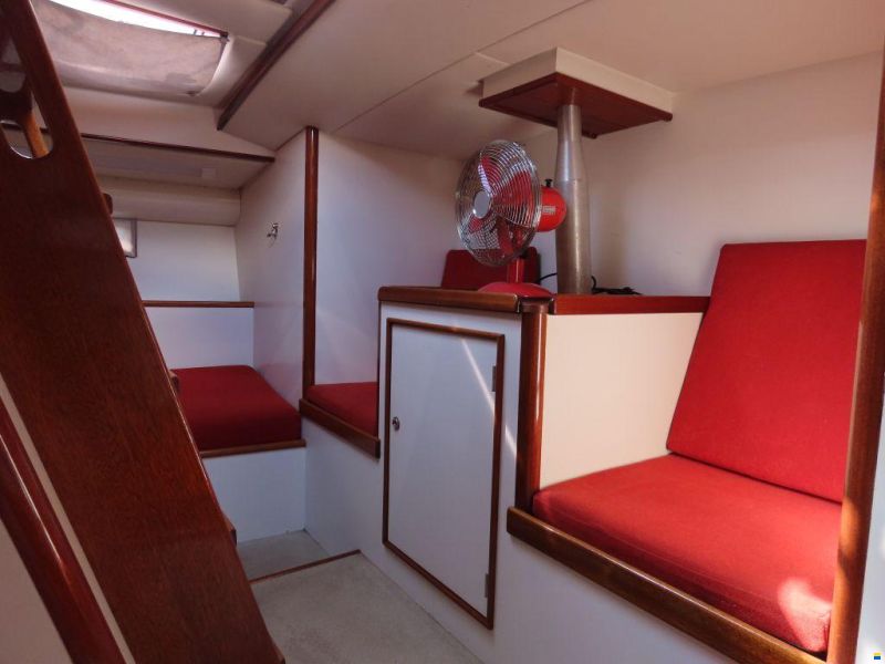 Stern 50