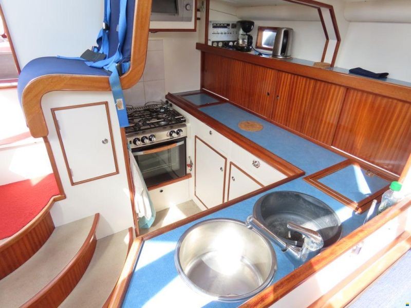 Stern 50