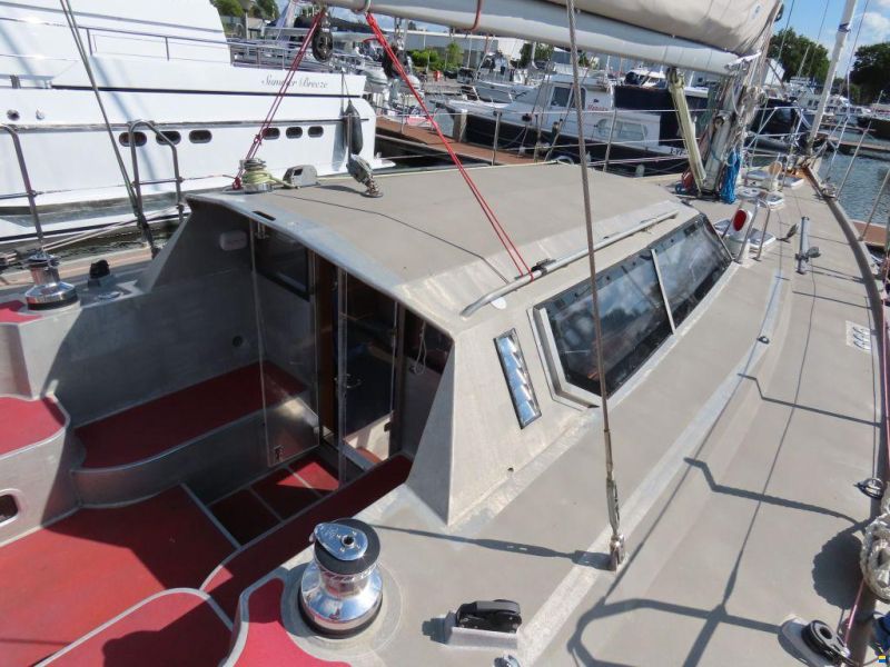 Stern 50