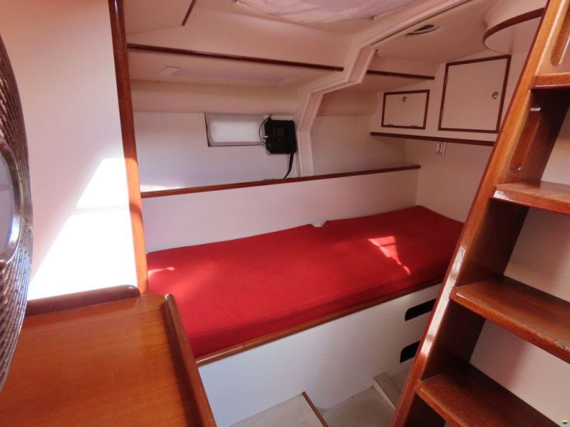 Stern 50