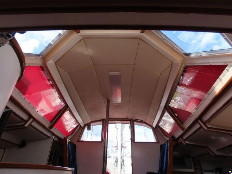 Stern 50