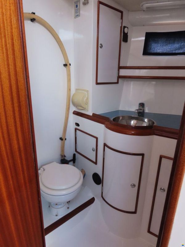 Stern 50