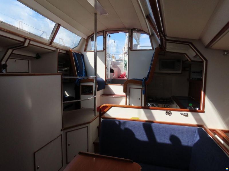 Stern 50