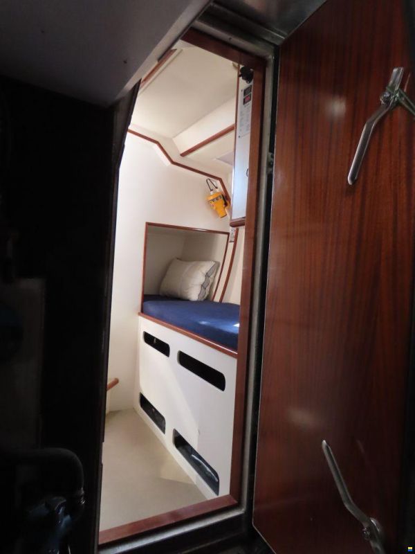 Stern 50