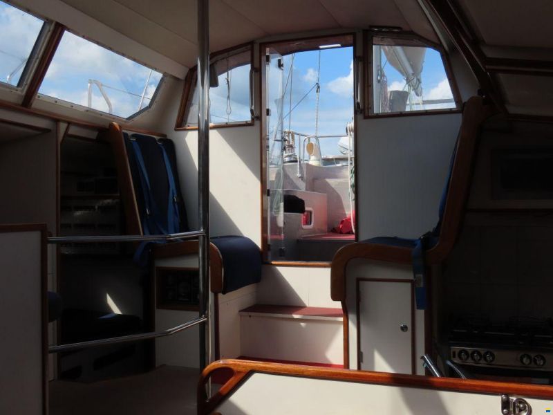 Stern 50