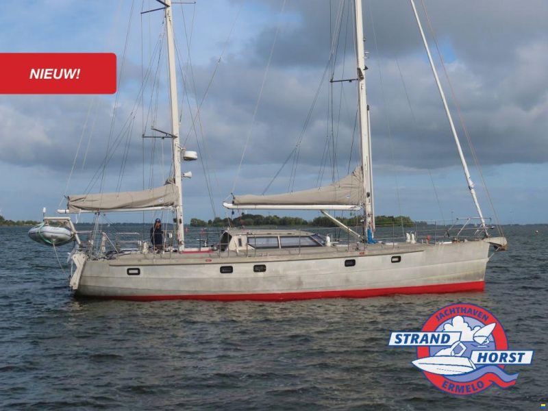 Stern 50
