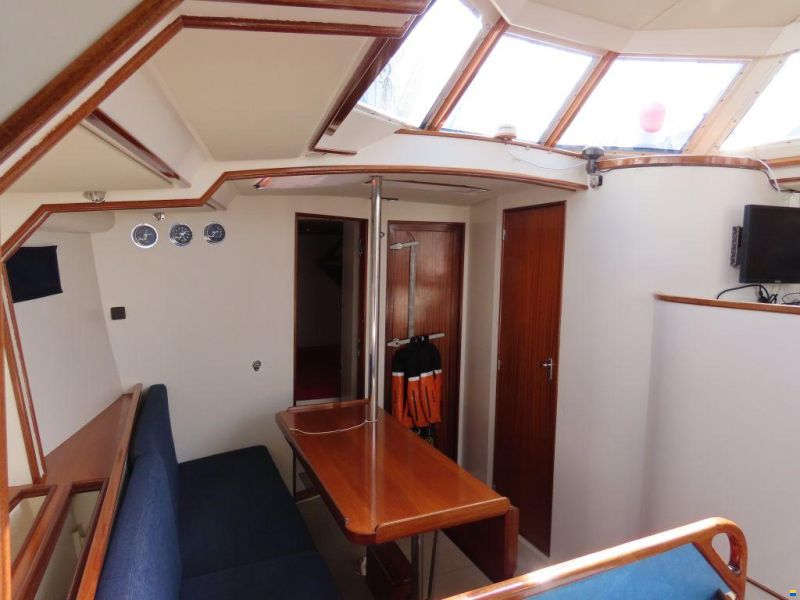 Stern 50