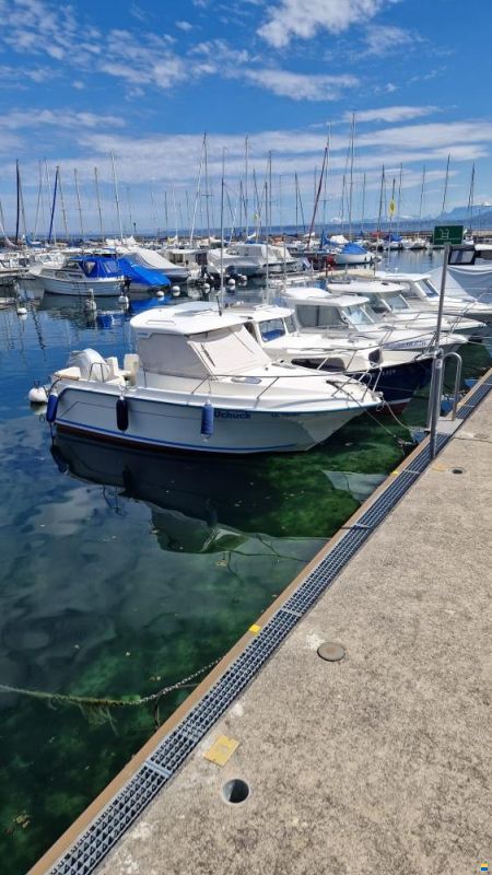 Guymarine 640